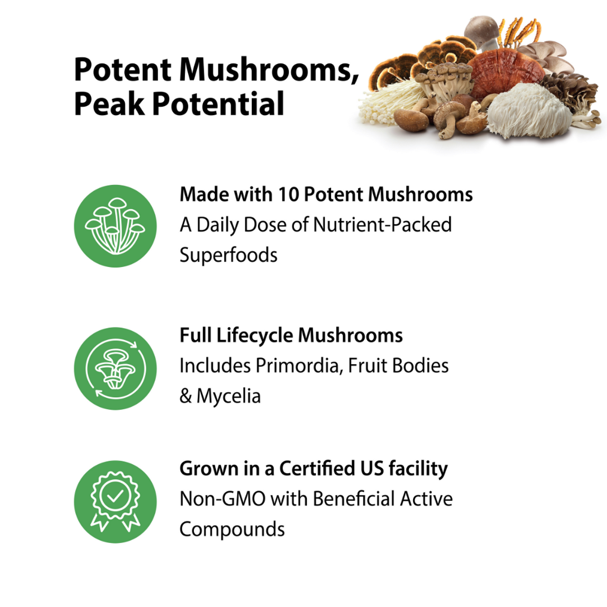 Product highlights graphic stating 10 Potent Mushrooms, Nutrient-Packed Superfoods, Full Lifecycle Mushrooms: Primordia, Fruit Bodies & Mycelia, Certified US facility, Non-GMO