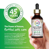 Rainbow Light Lion's Mane Mushroom Liquid Extract, 2 fl. oz., NON-GMO, Vegan, and Gluten Free.